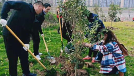 “四旁”植树是指村旁、路旁、水旁还有？