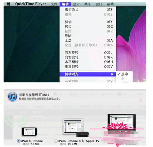 quicktime player 是做什么的,怎么使用