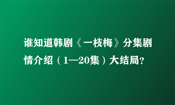 谁知道韩剧《一枝梅》分集剧情介绍（1—20集）大结局？