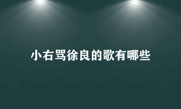 小右骂徐良的歌有哪些