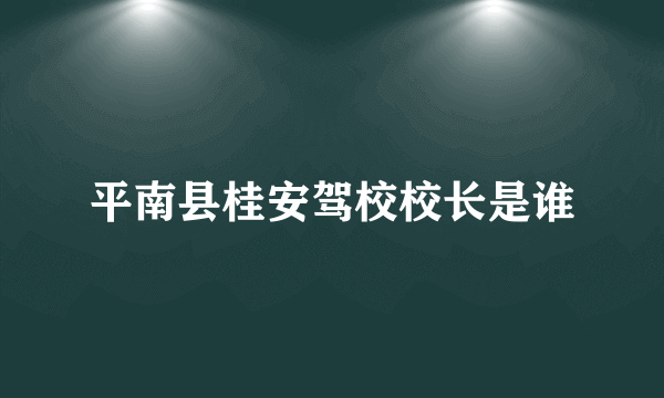 平南县桂安驾校校长是谁