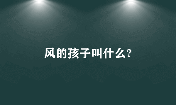 风的孩子叫什么?