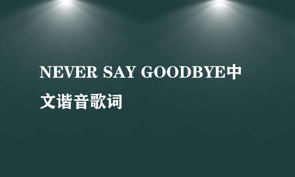 NEVER SAY GOODBYE中文谐音歌词