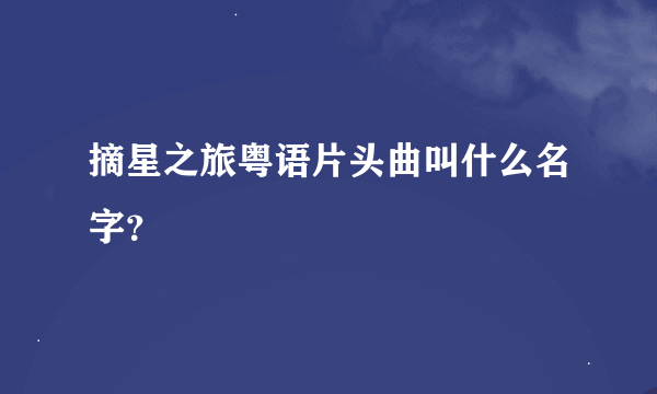 摘星之旅粤语片头曲叫什么名字？