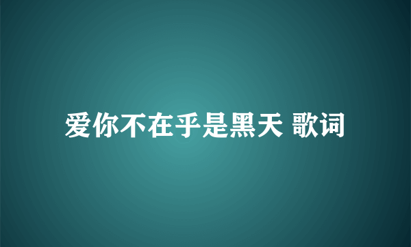 爱你不在乎是黑天 歌词