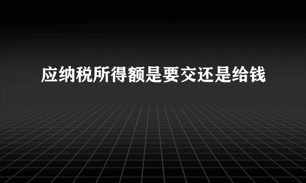 应纳税所得额是要交还是给钱