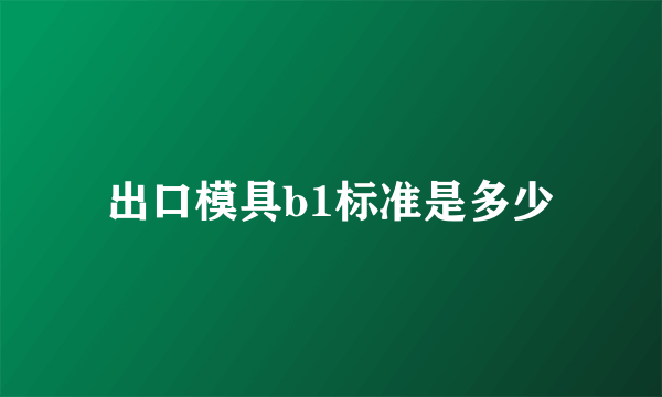 出口模具b1标准是多少