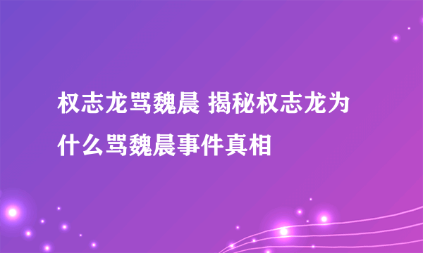 权志龙骂魏晨 揭秘权志龙为什么骂魏晨事件真相