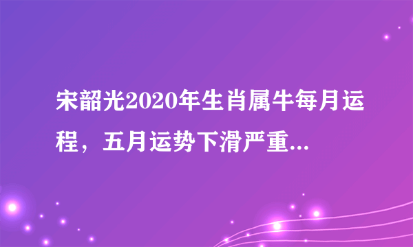 宋韶光2020年生肖属牛每月运程，五月运势下滑严重，年底财运亨通？