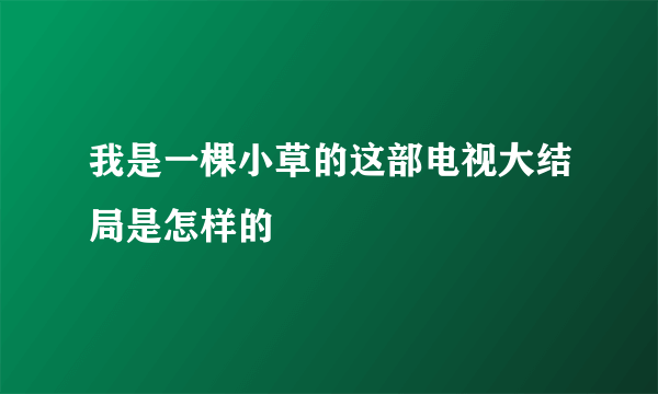 我是一棵小草的这部电视大结局是怎样的