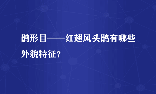 鹃形目——红翅风头鹃有哪些外貌特征？