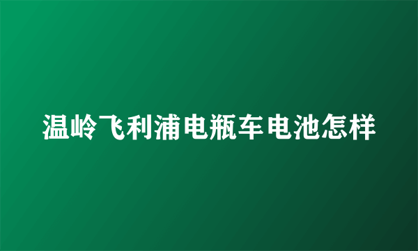 温岭飞利浦电瓶车电池怎样