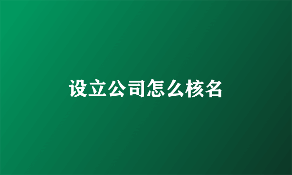 设立公司怎么核名