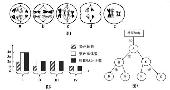 第一次是如何发生的具体描述