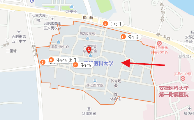 安徽医科大学的详细地址