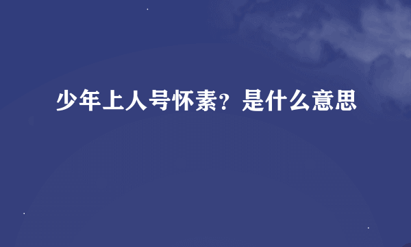 少年上人号怀素？是什么意思