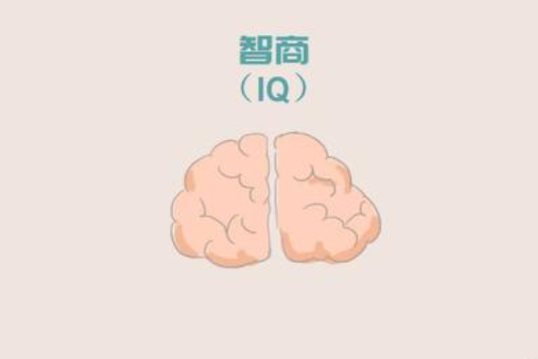 iq和eq分别代表什么意思？