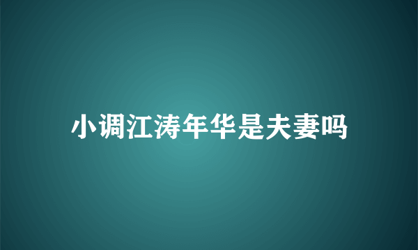 小调江涛年华是夫妻吗