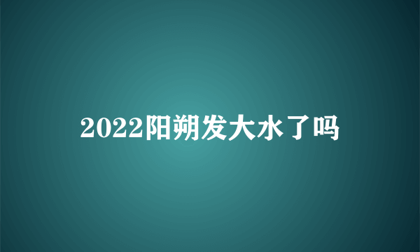 2022阳朔发大水了吗