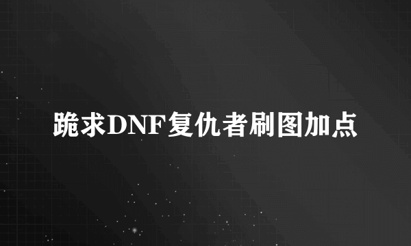 跪求DNF复仇者刷图加点