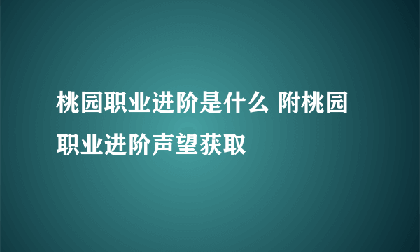 桃园职业进阶是什么 附桃园职业进阶声望获取