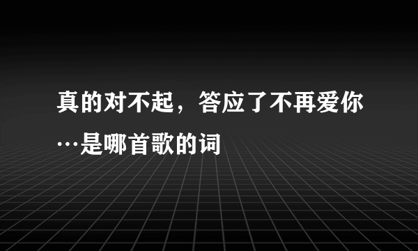 真的对不起，答应了不再爱你…是哪首歌的词