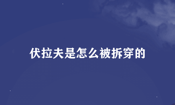 伏拉夫是怎么被拆穿的