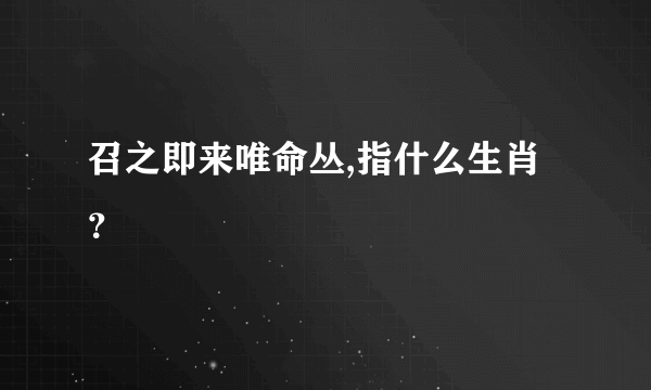 召之即来唯命丛,指什么生肖？