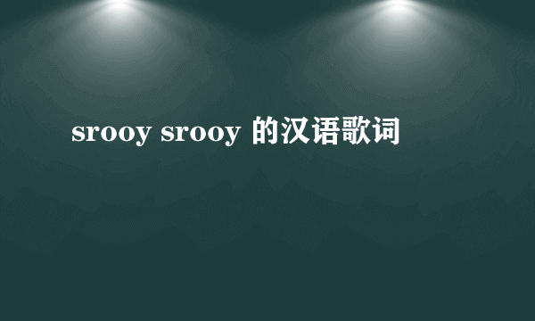 srooy srooy 的汉语歌词