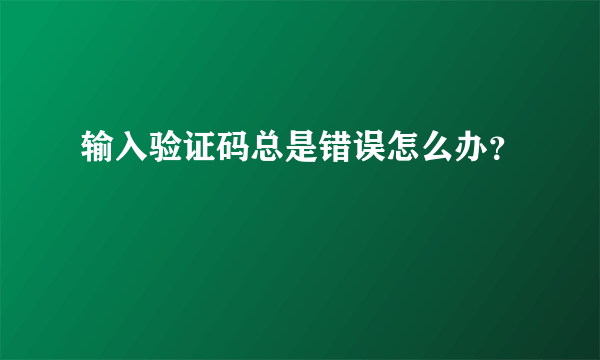 输入验证码总是错误怎么办？