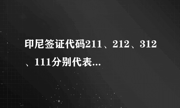 印尼签证代码211、212、312、111分别代表什么意思？