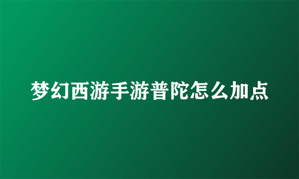 梦幻西游手游普陀怎么加点