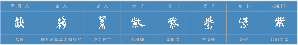 ___紫（组词）