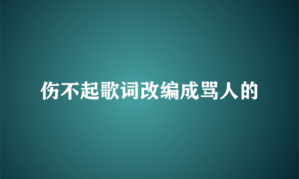 伤不起歌词改编成骂人的