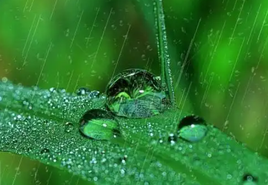 草色遥看近却无的全诗