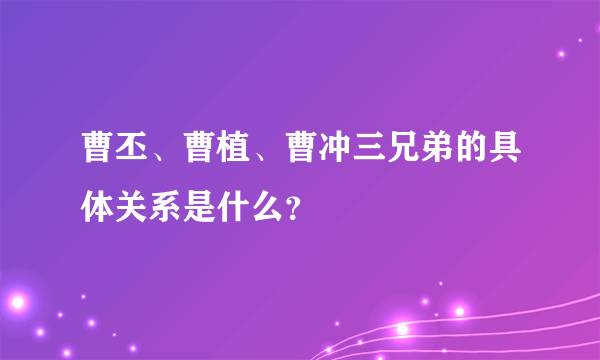 曹丕、曹植、曹冲三兄弟的具体关系是什么？