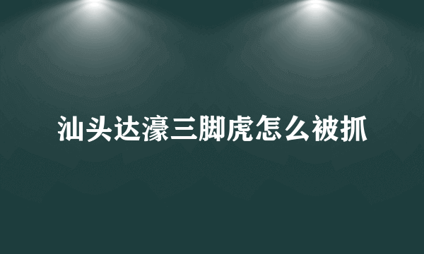 汕头达濠三脚虎怎么被抓