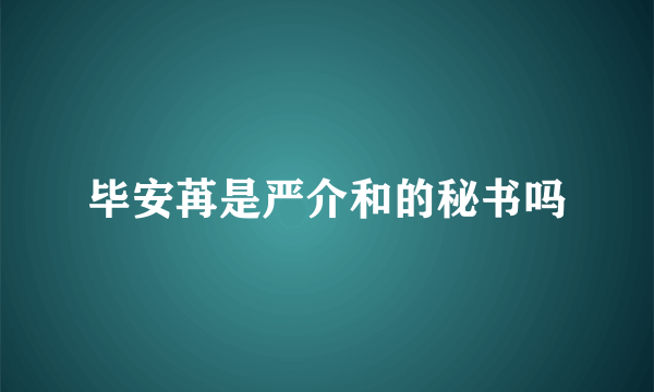 毕安苒是严介和的秘书吗