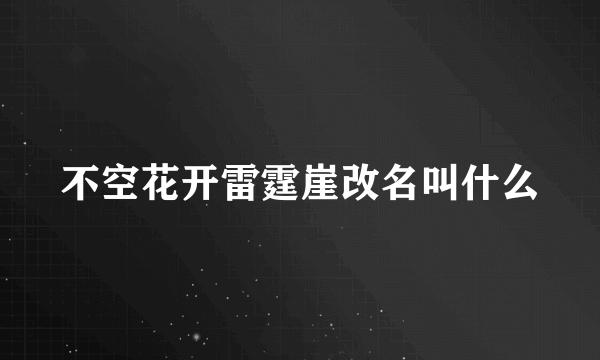 不空花开雷霆崖改名叫什么