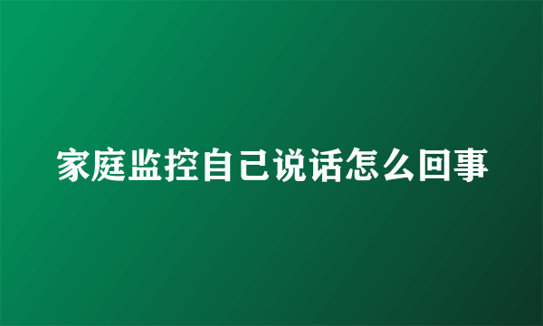 家庭监控自己说话怎么回事