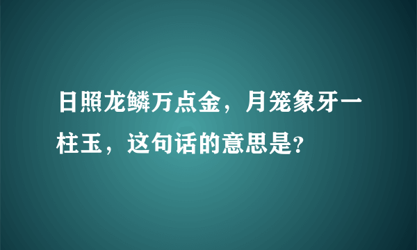 日照龙鳞万点金，月笼象牙一柱玉，这句话的意思是？