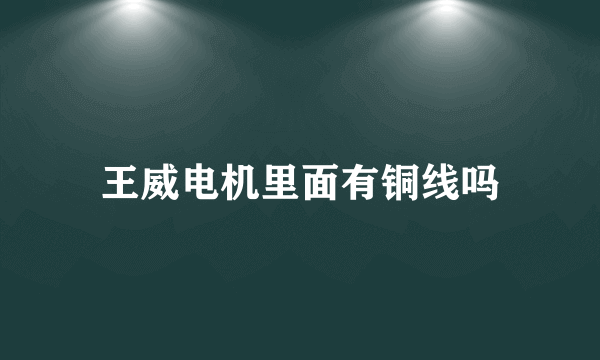 王威电机里面有铜线吗