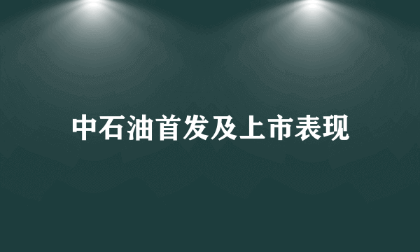 中石油首发及上市表现