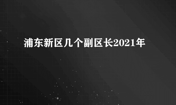 浦东新区几个副区长2021年