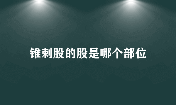 锥刺股的股是哪个部位