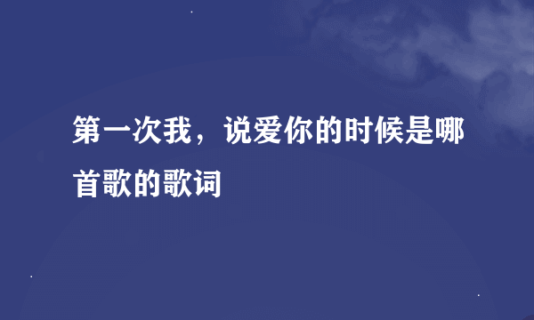 第一次我，说爱你的时候是哪首歌的歌词