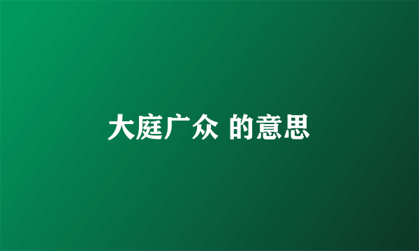 大庭广众 的意思