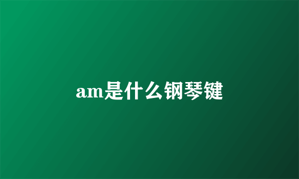 am是什么钢琴键