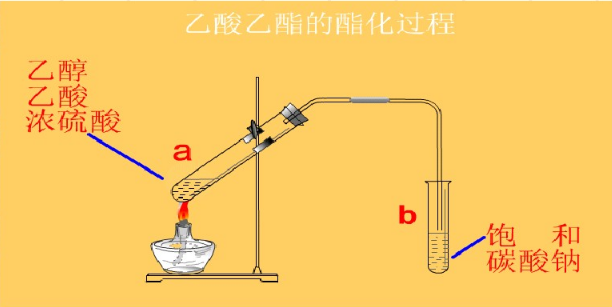 实验室制取乙酸乙酯的制取装置图和步骤