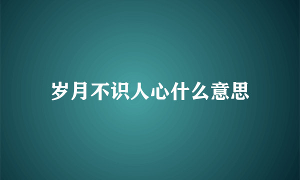 岁月不识人心什么意思